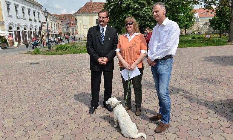 Belvárosi sétát rendez a Hontalan Állatok Világnapján a Herosz